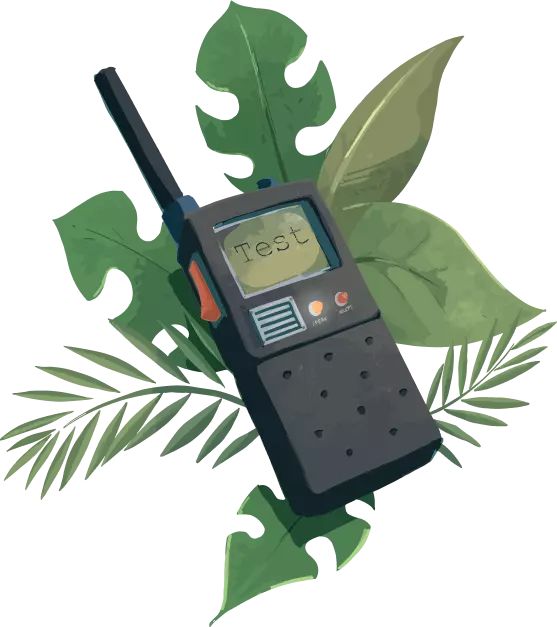 talkie walkie